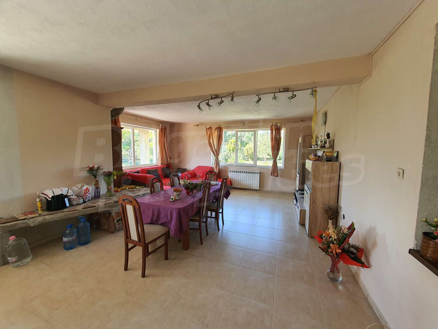 Gallery Picture 11