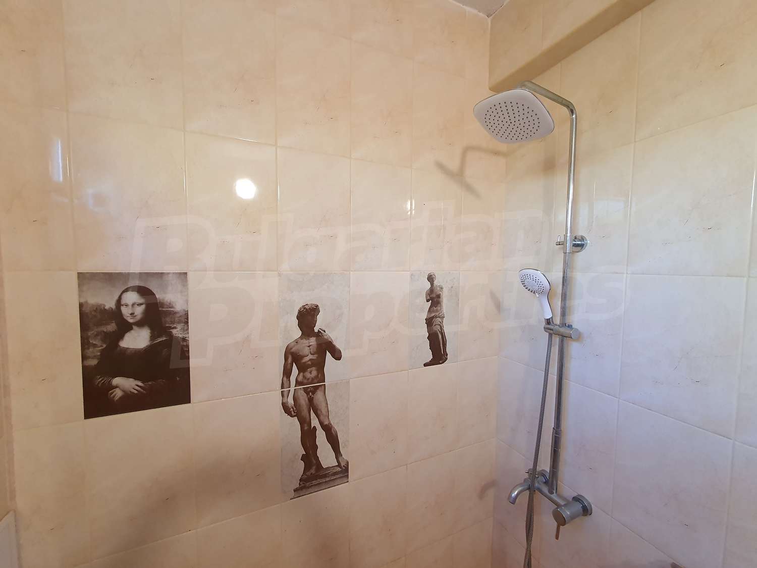 Gallery Picture 24