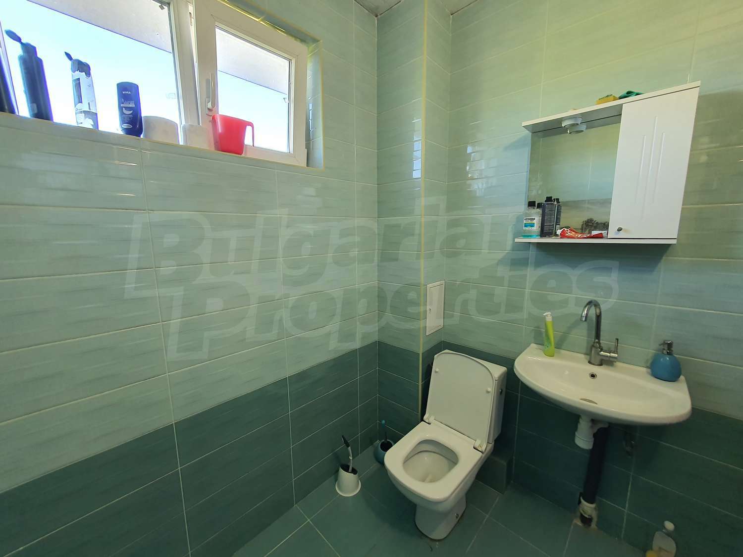 Gallery Picture 37