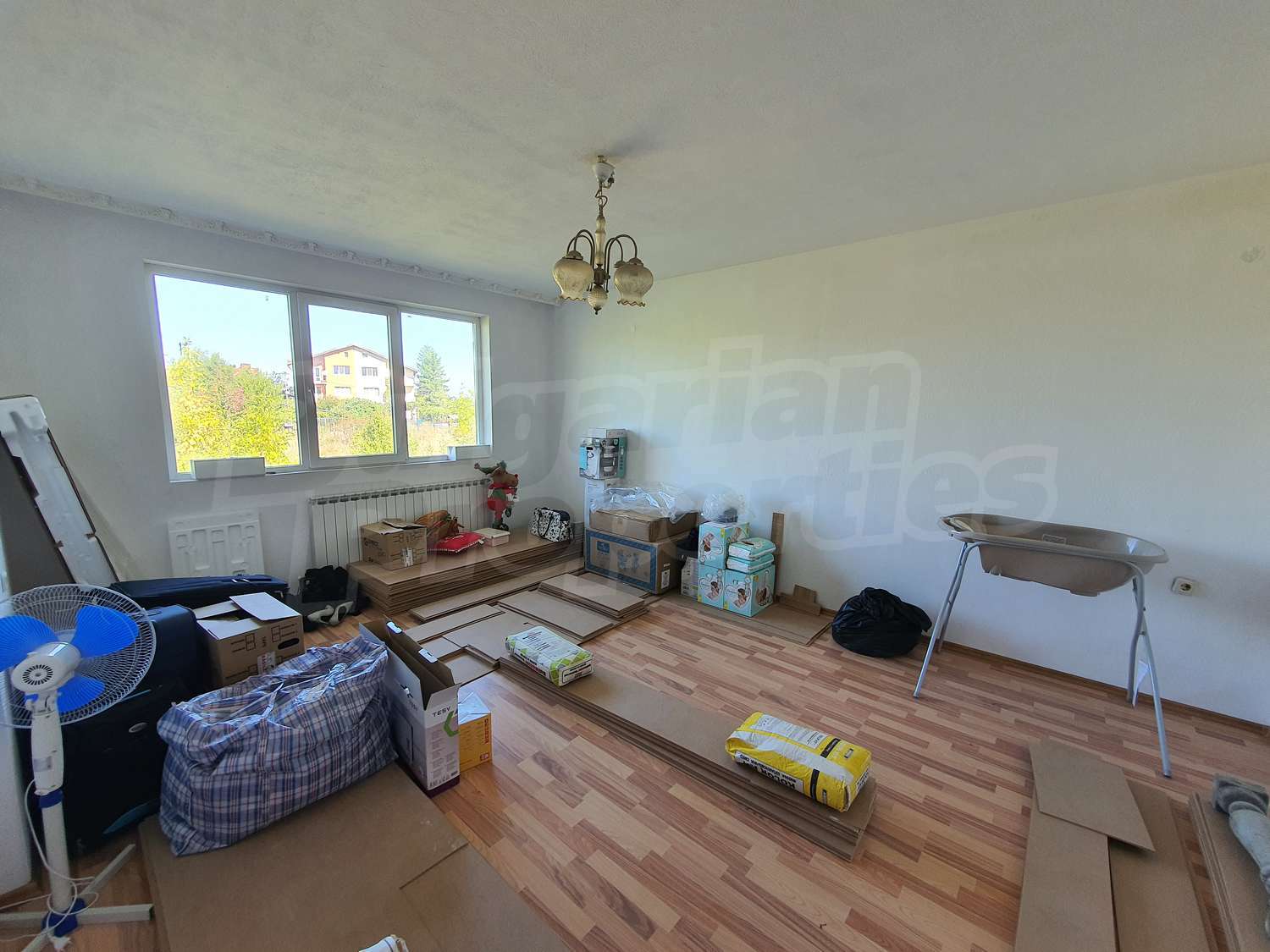 Gallery Picture 38