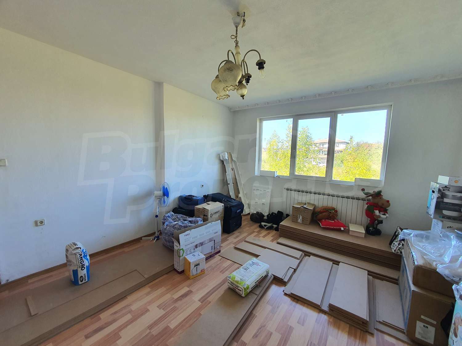 Gallery Picture 39