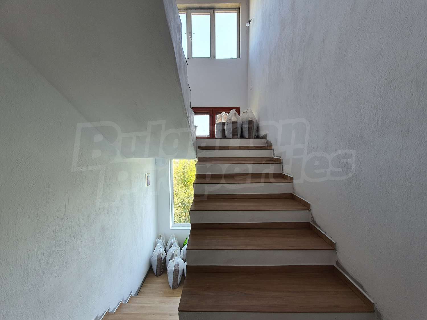 Gallery Picture 48