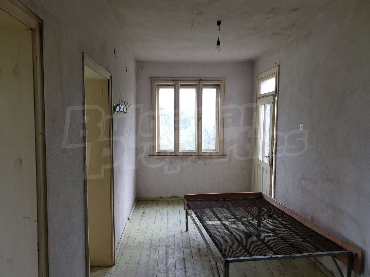 Gallery Picture 13
