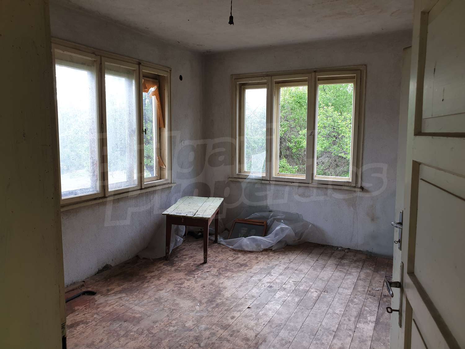 Gallery Picture 16