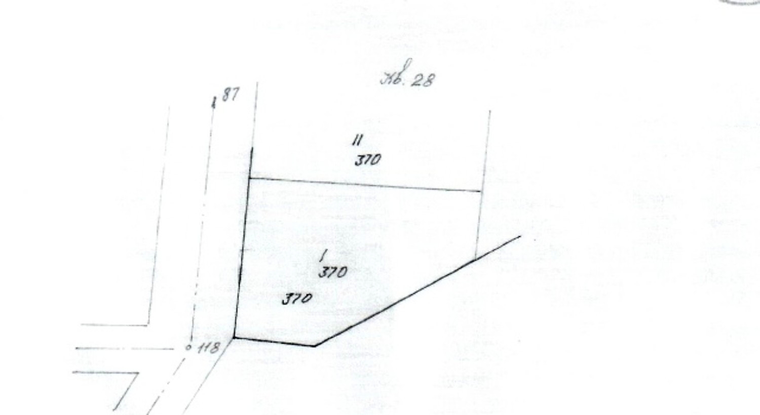 Gallery Picture 10