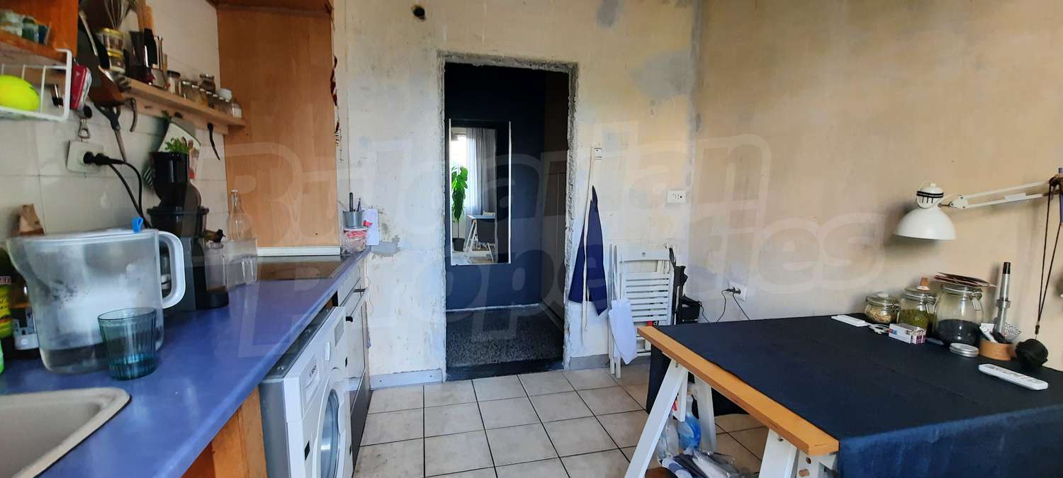 Gallery Picture 10