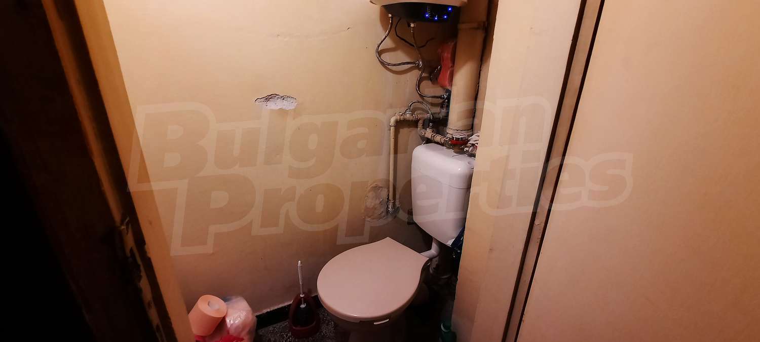 Gallery Picture 12