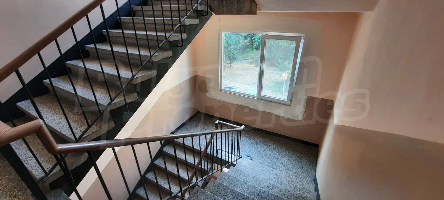 Gallery Picture 14