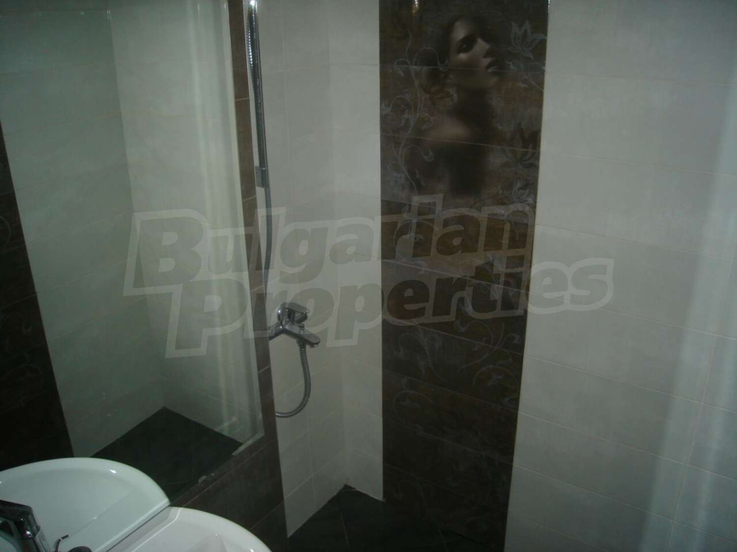 Gallery Picture 6