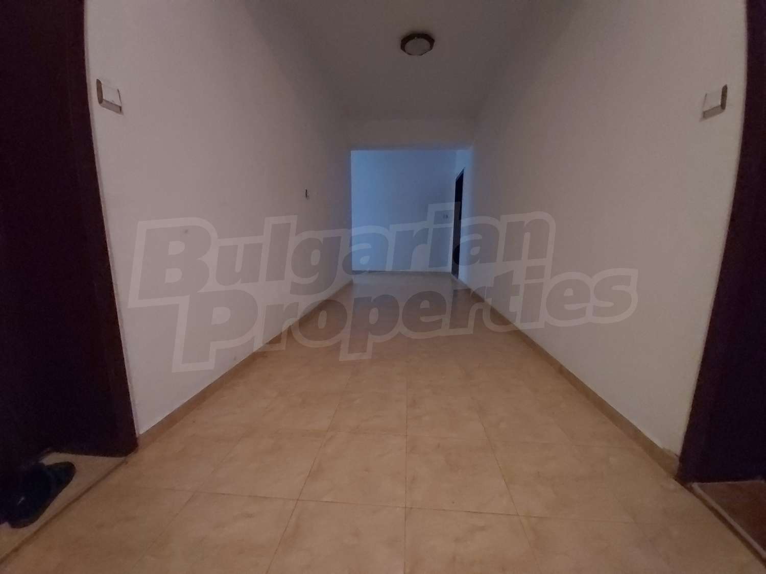 Gallery Picture 18