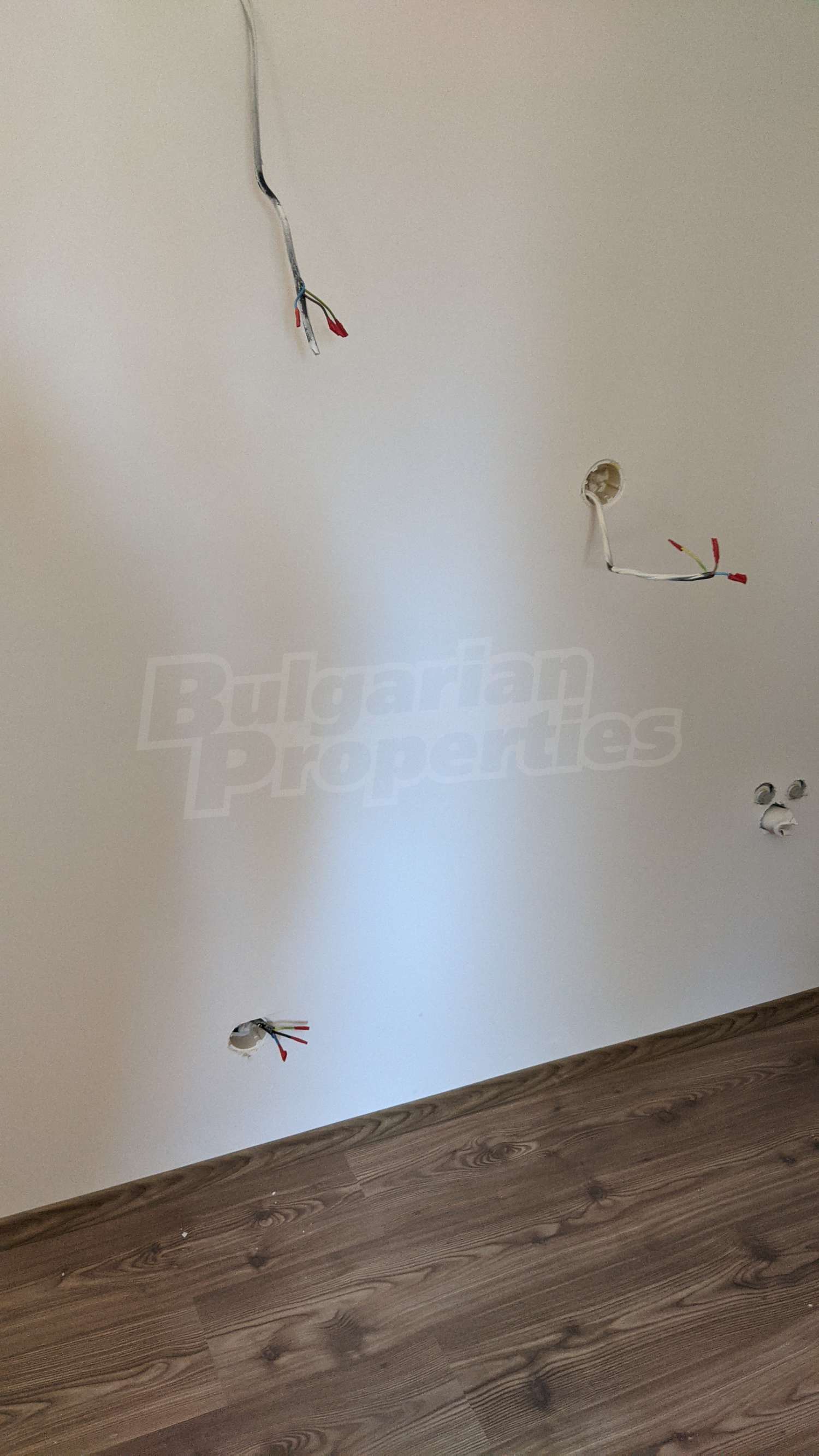 Gallery Picture 7