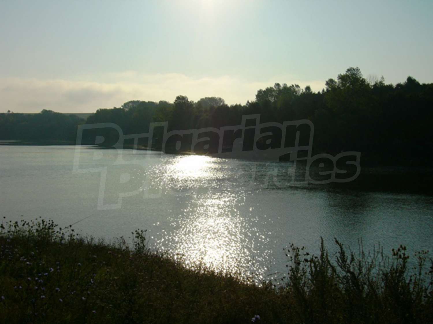 Gallery Picture 21