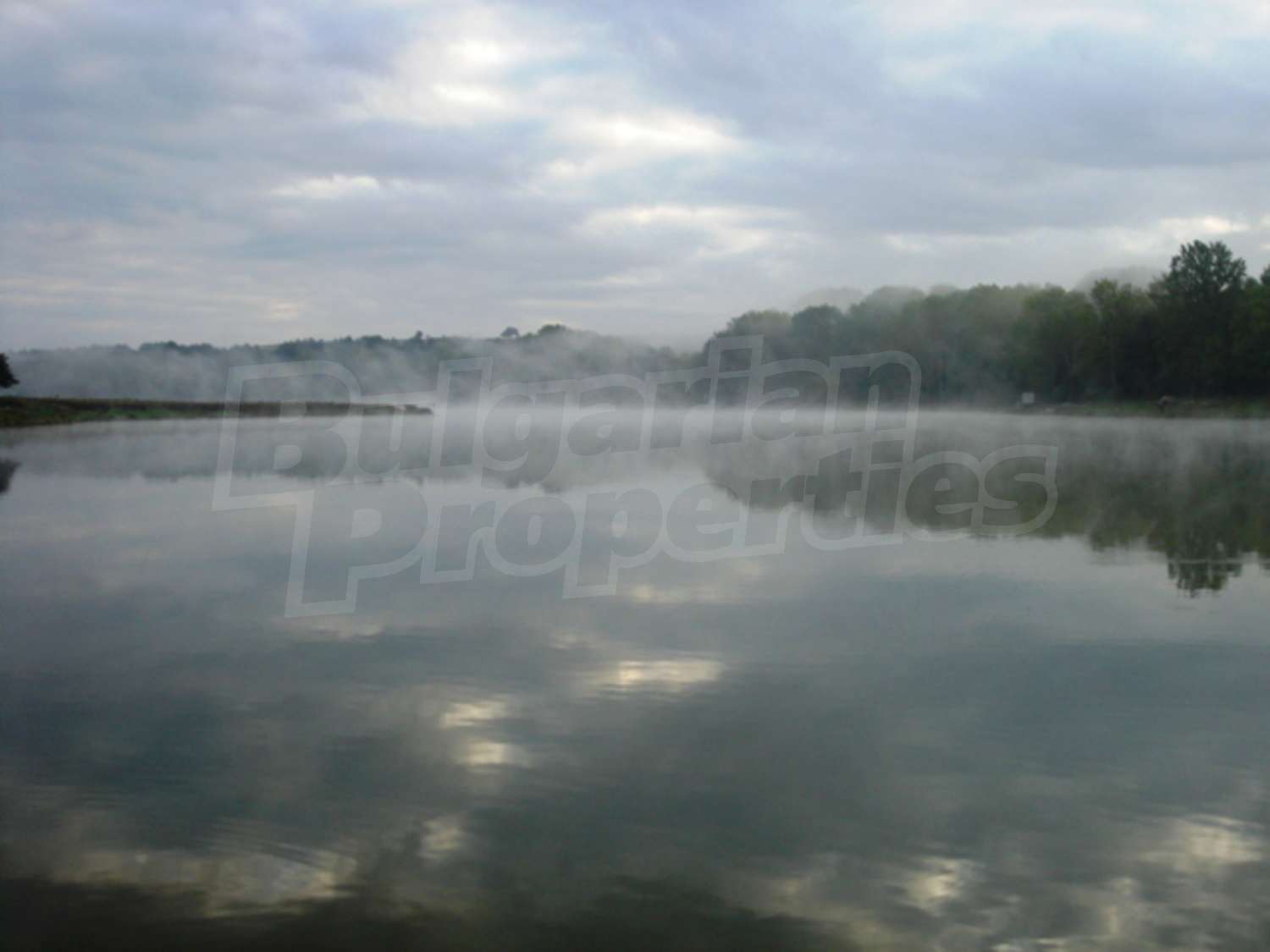 Gallery Picture 22