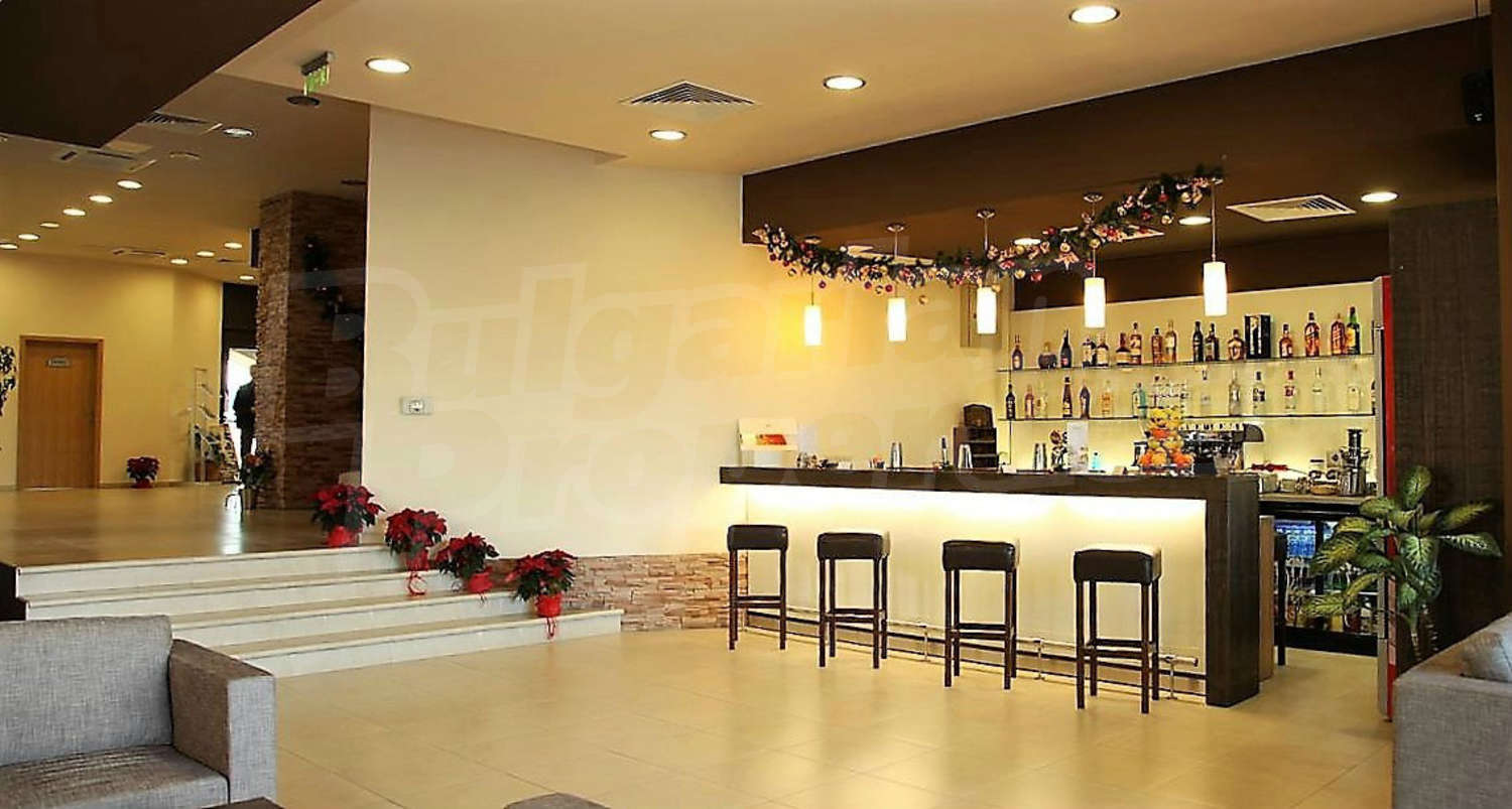Gallery Picture 13