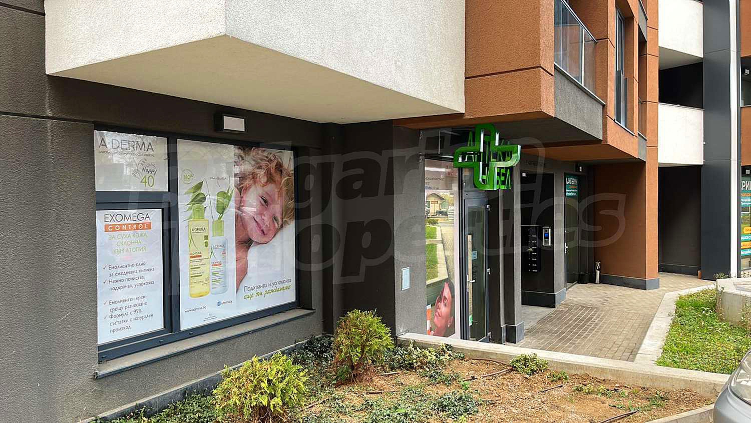Gallery Picture 10