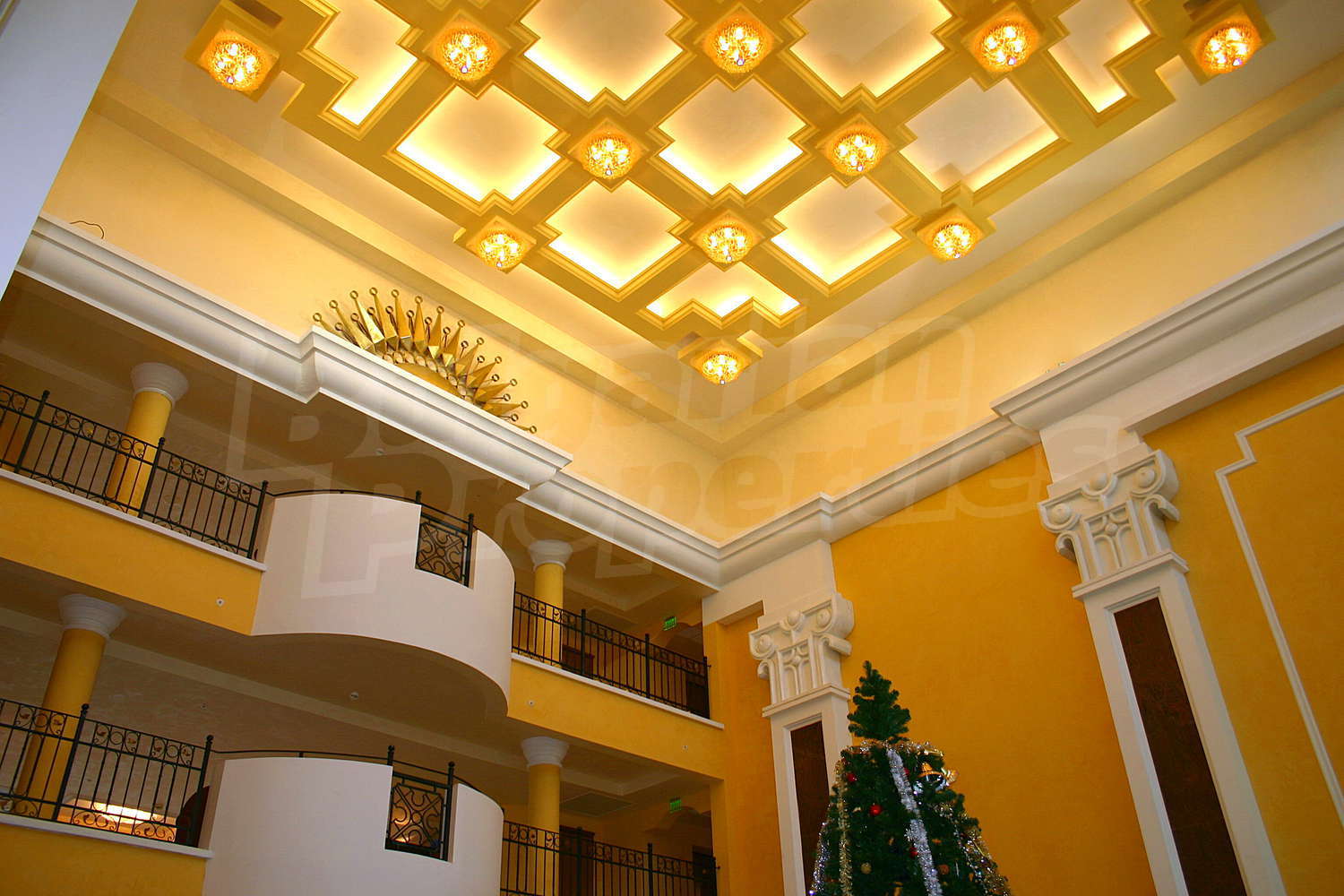 Gallery Picture 34