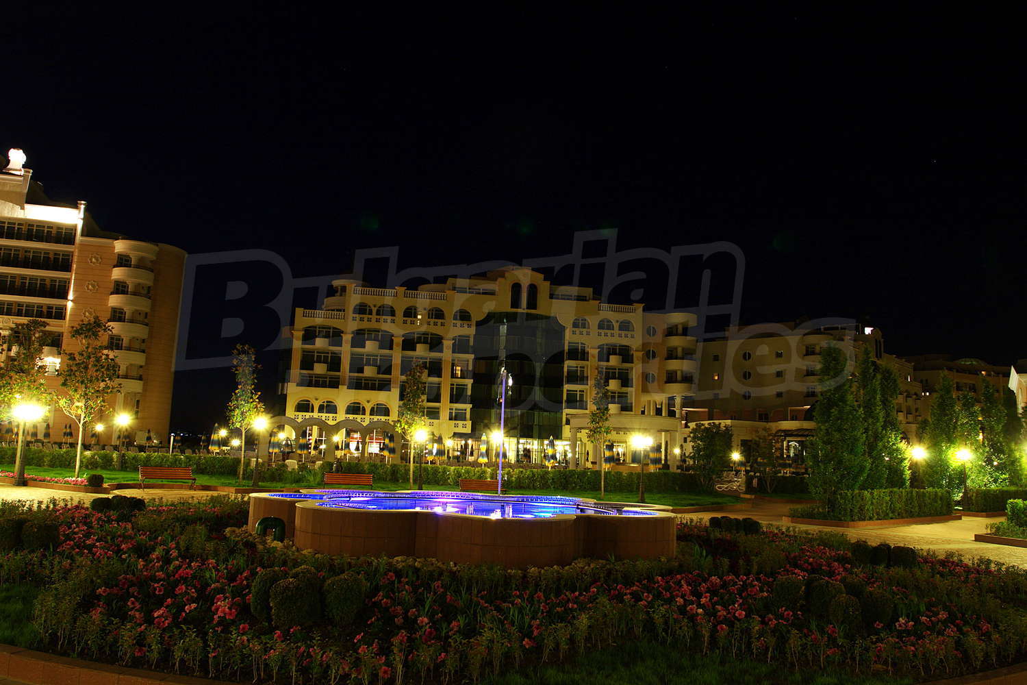 Gallery Picture 53
