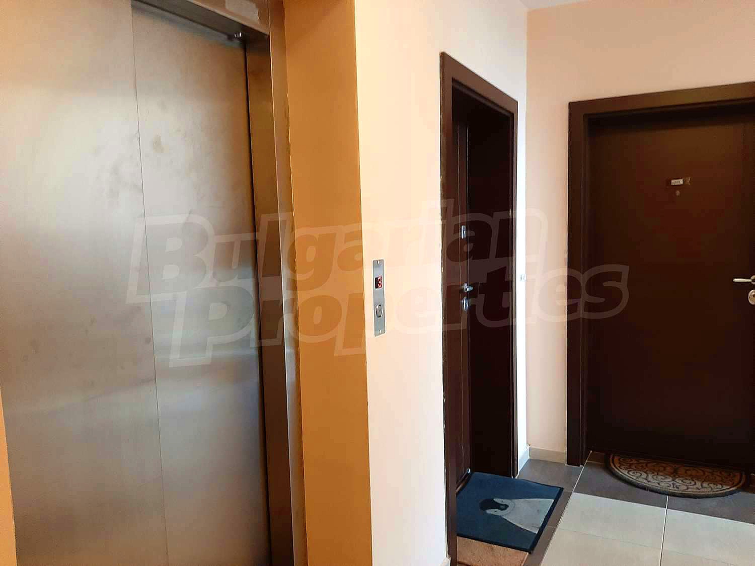 Gallery Picture 28