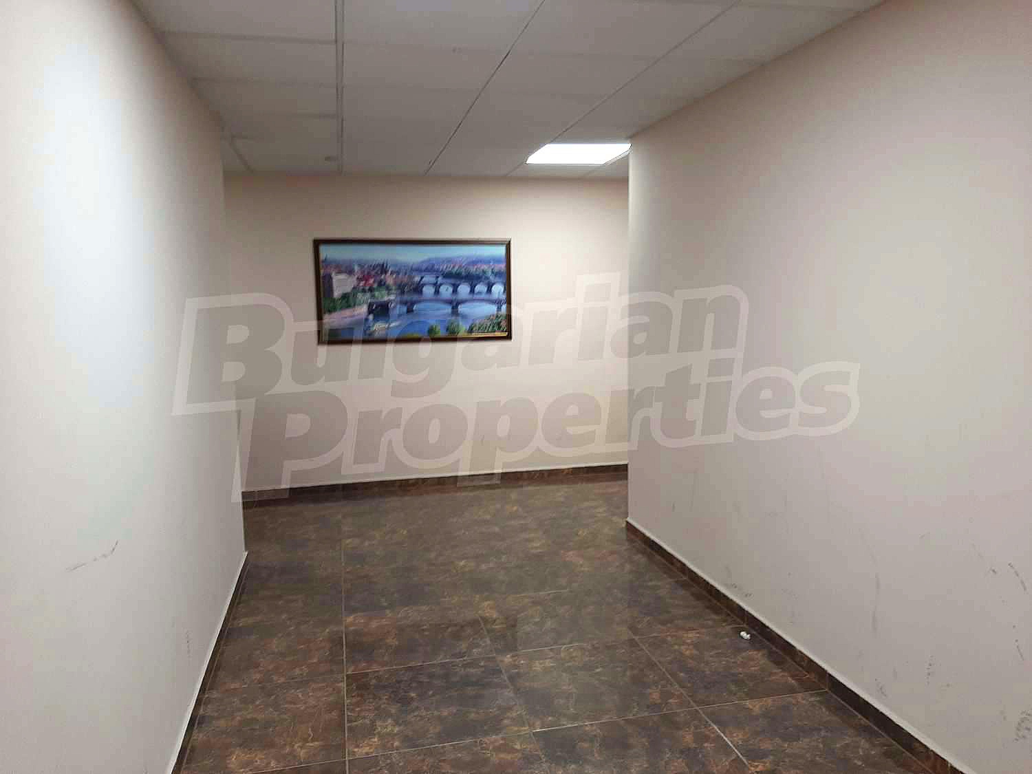 Gallery Picture 30