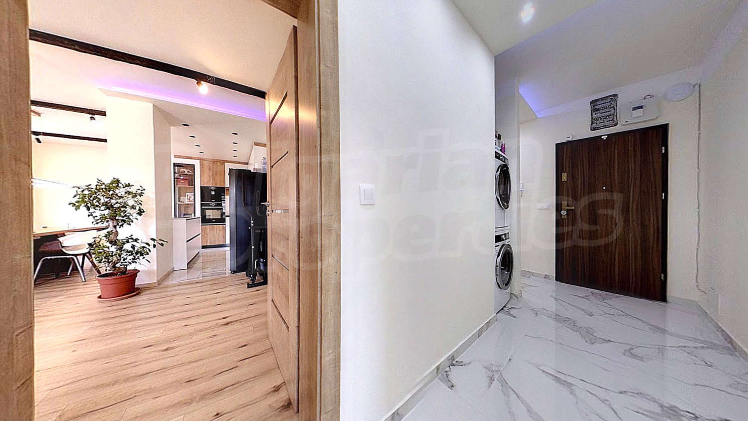 Gallery Picture 14