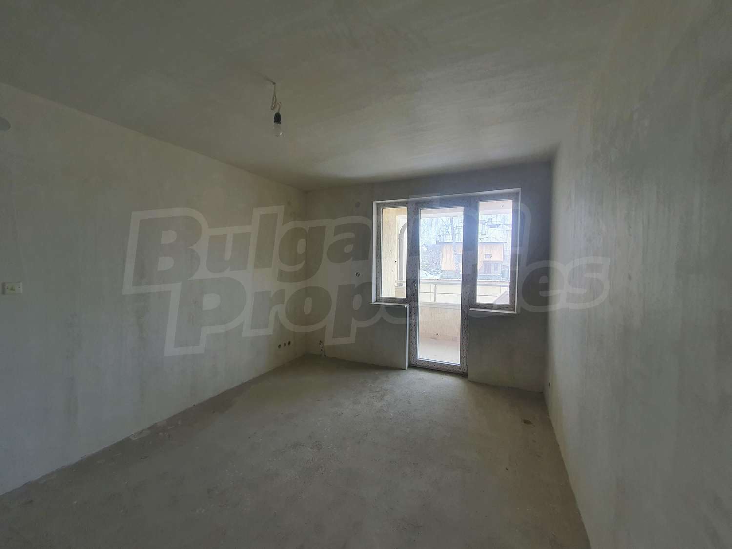 Gallery Picture 11
