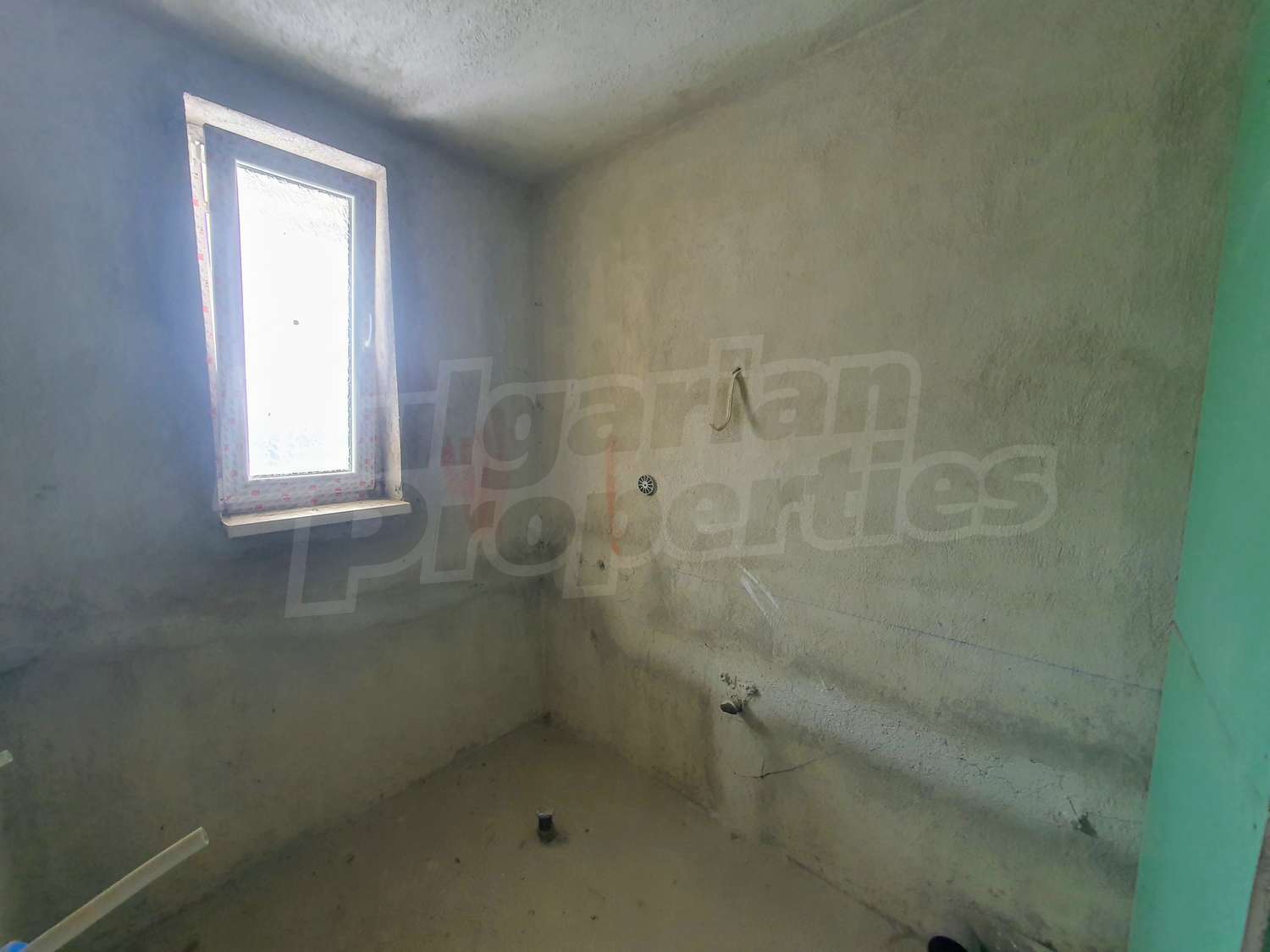 Gallery Picture 26
