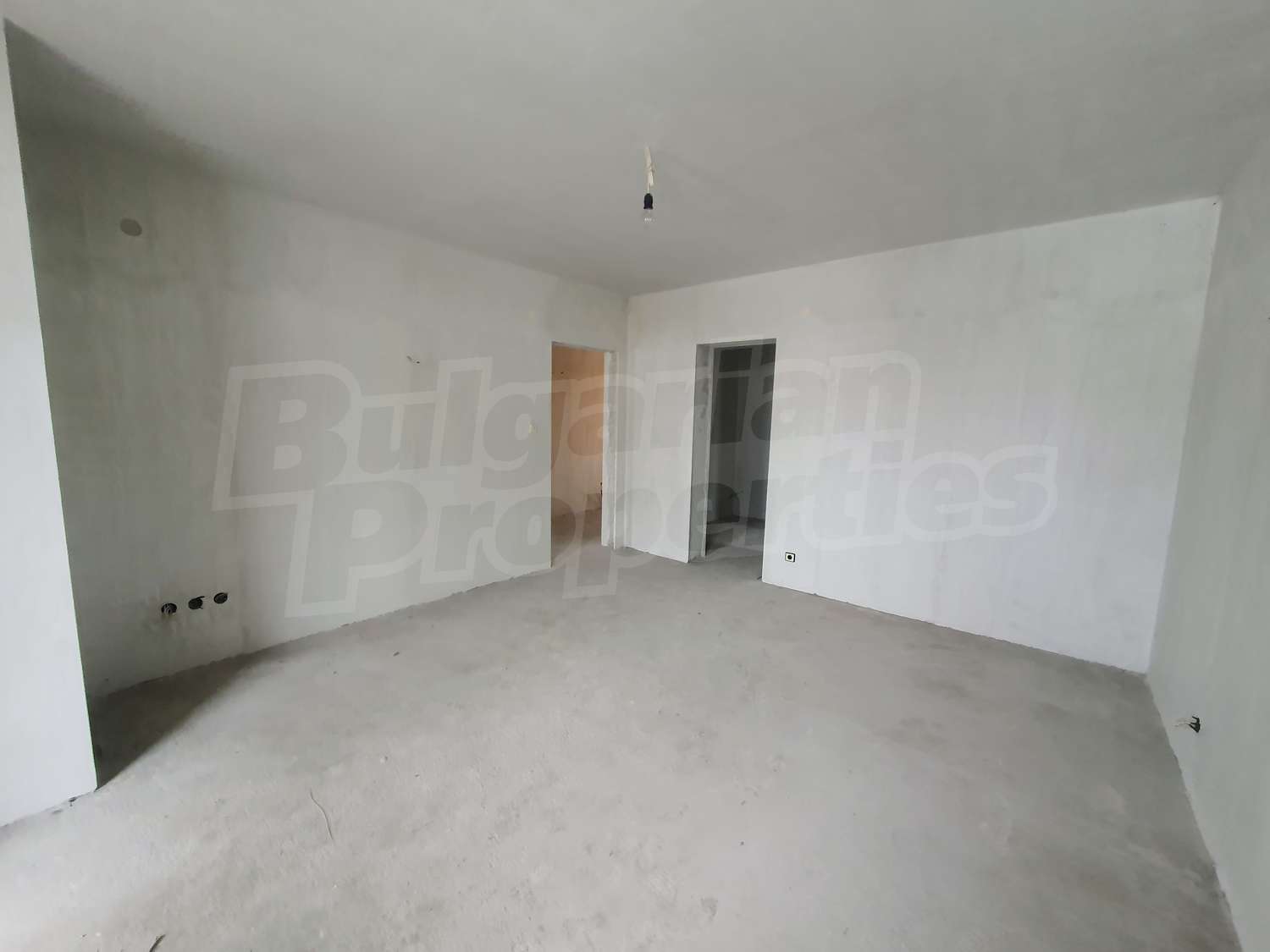 Gallery Picture 41