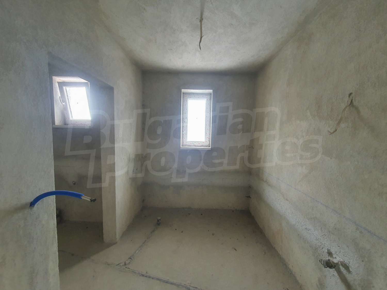 Gallery Picture 43