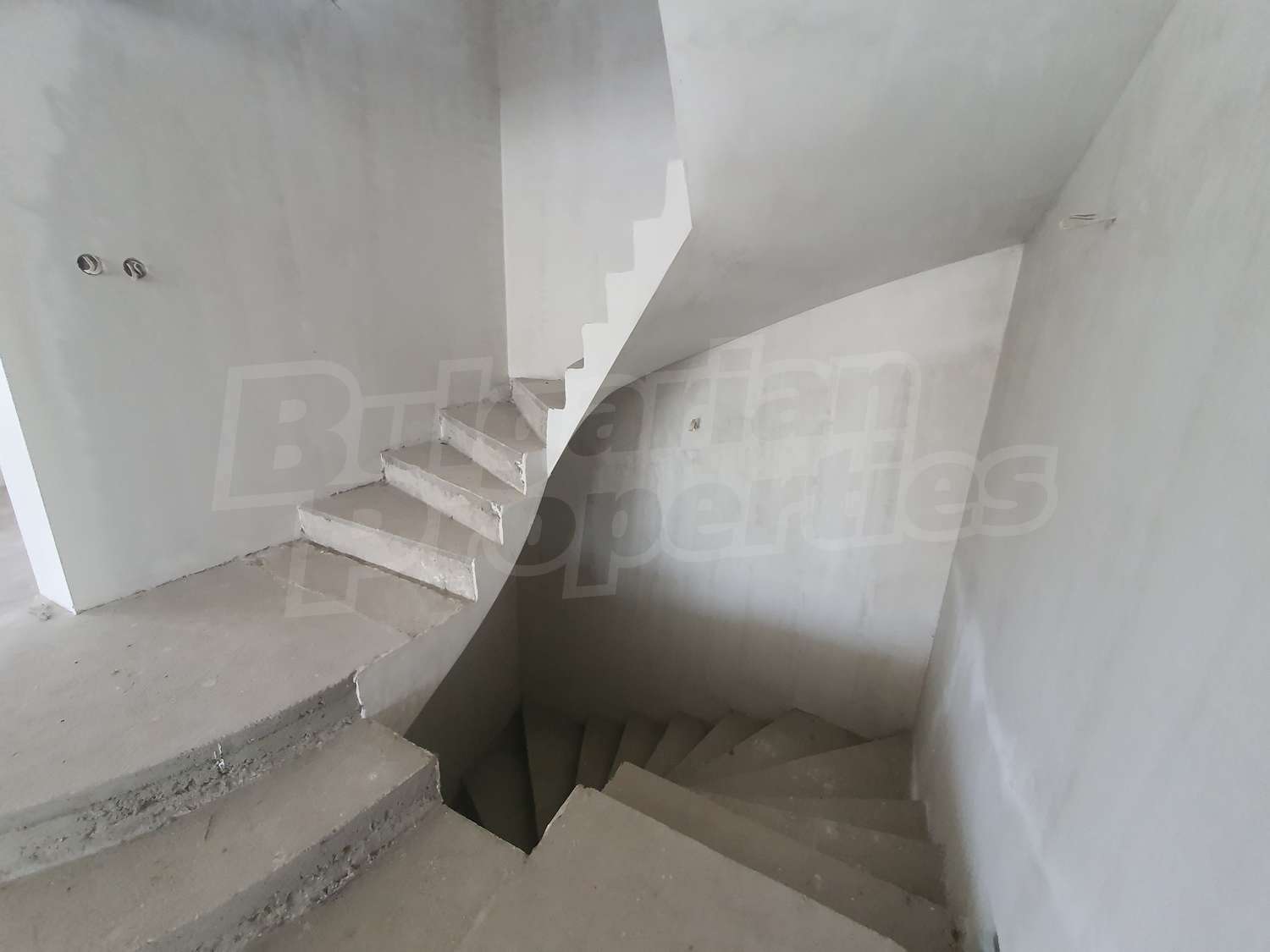 Gallery Picture 45