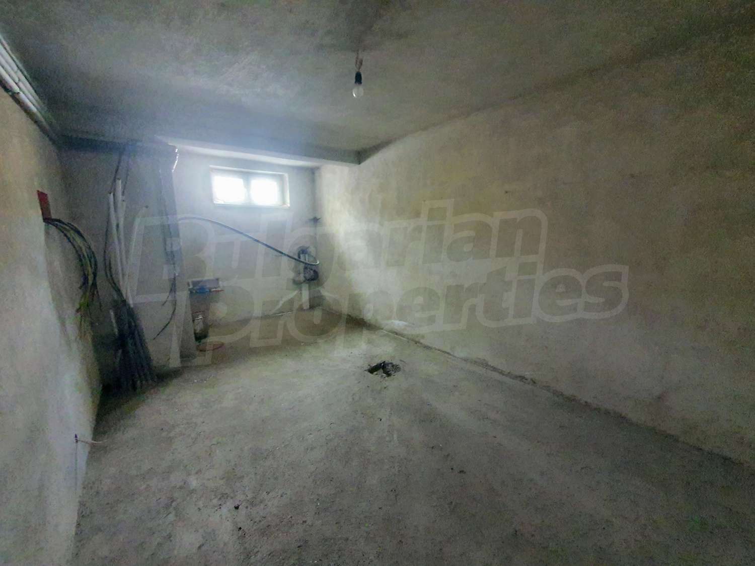 Gallery Picture 50