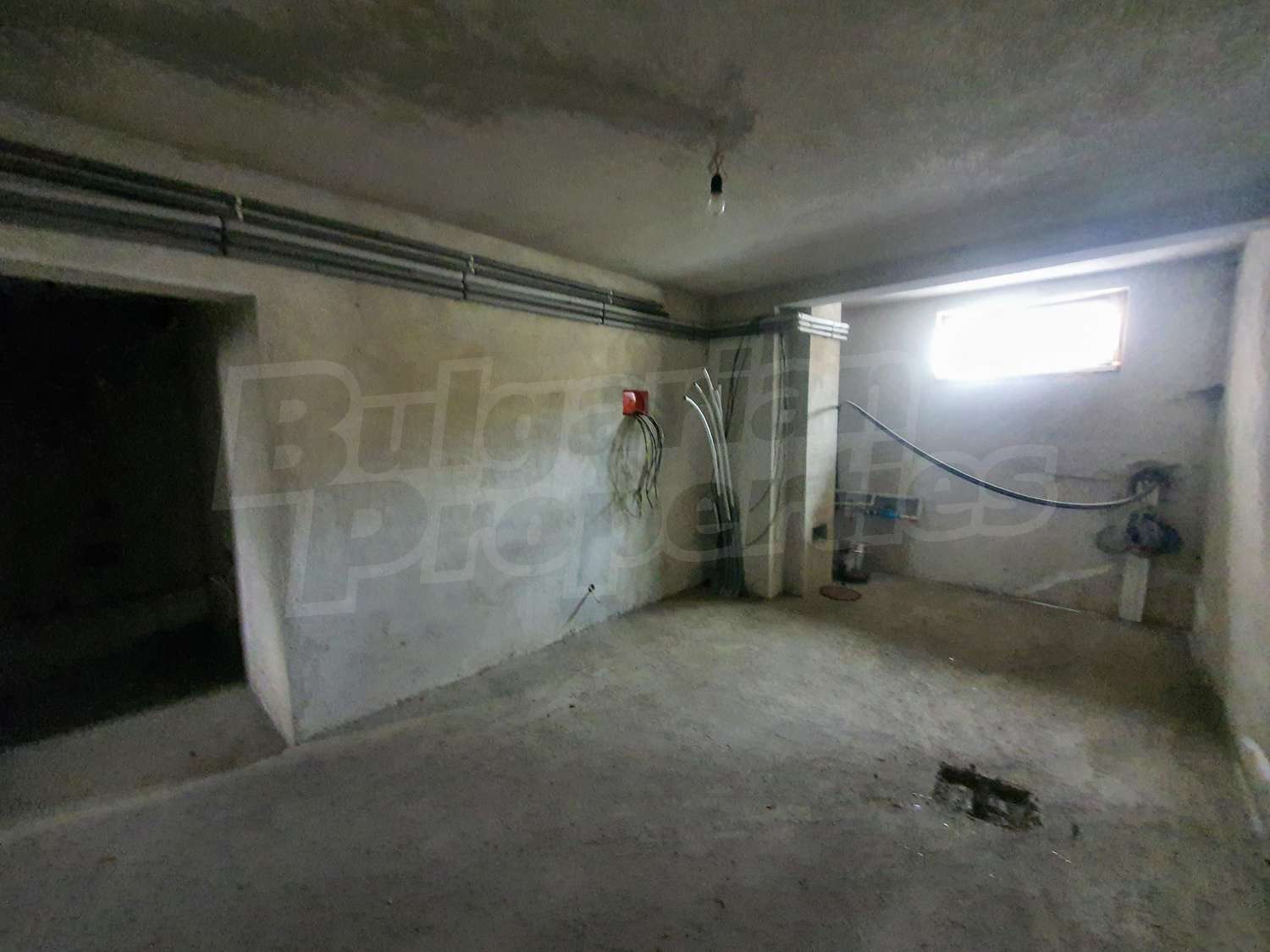 Gallery Picture 51