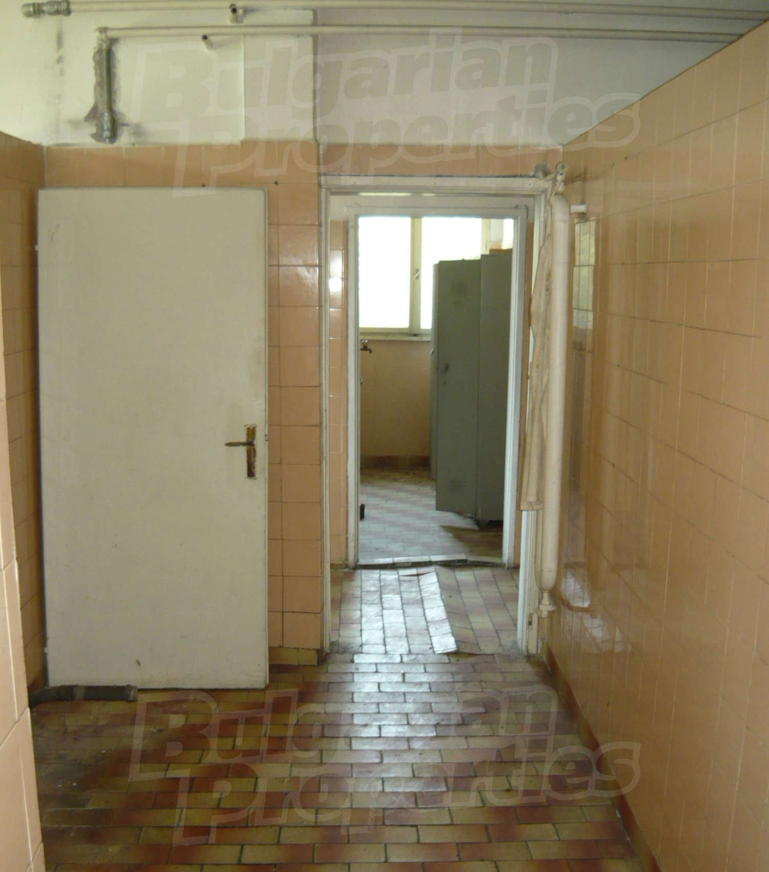 Gallery Picture 12