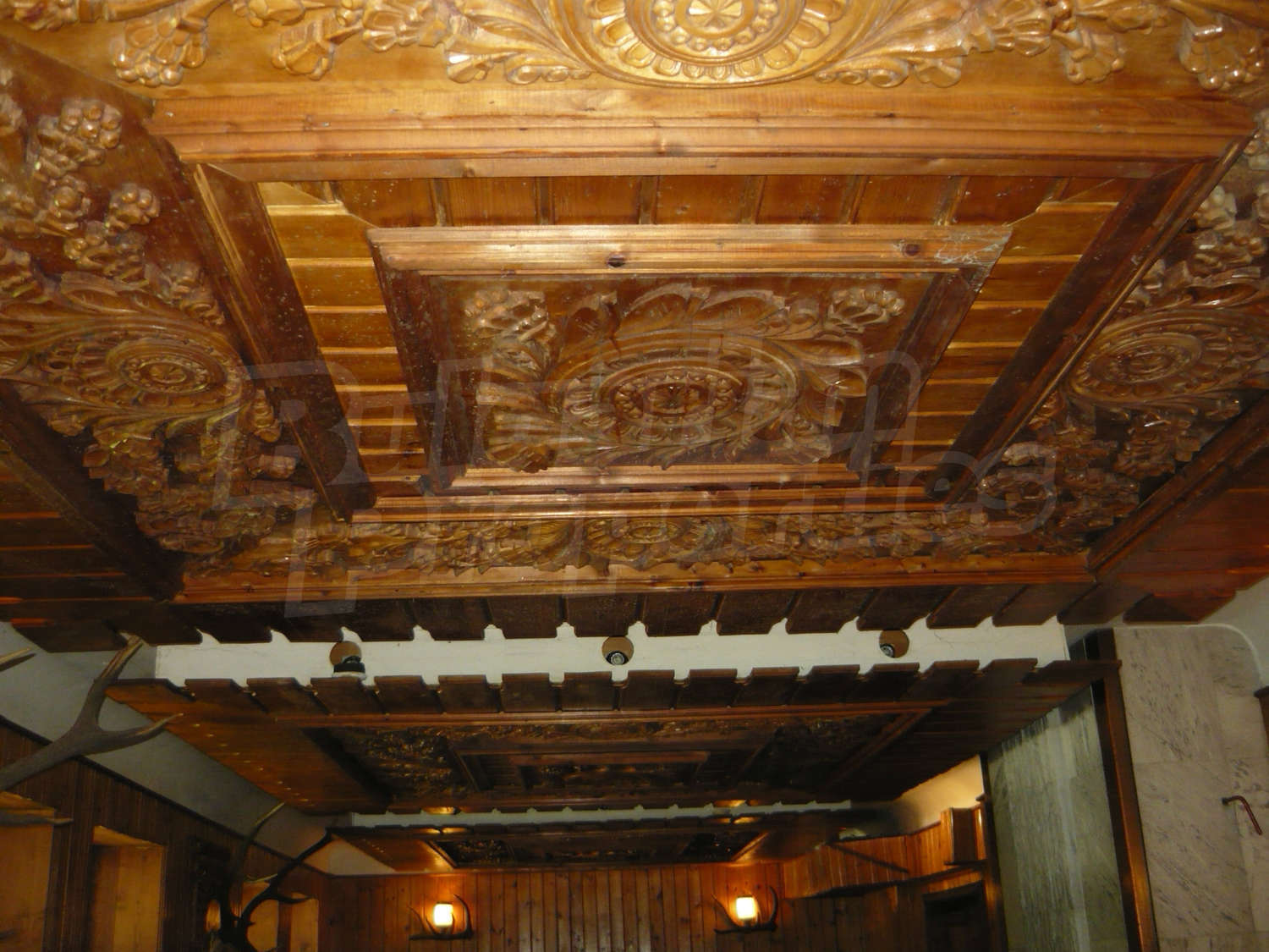 Gallery Picture 19