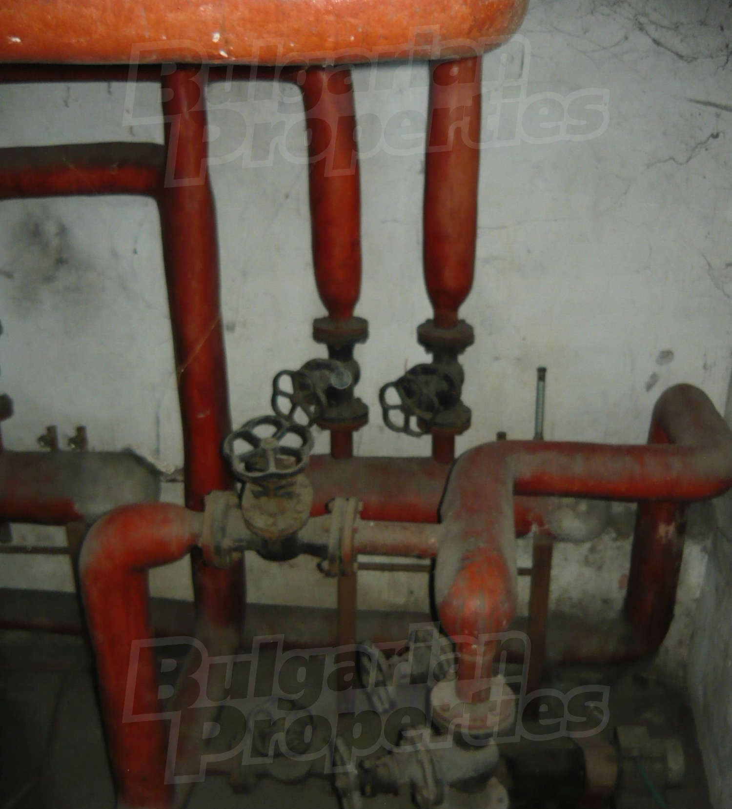 Gallery Picture 22