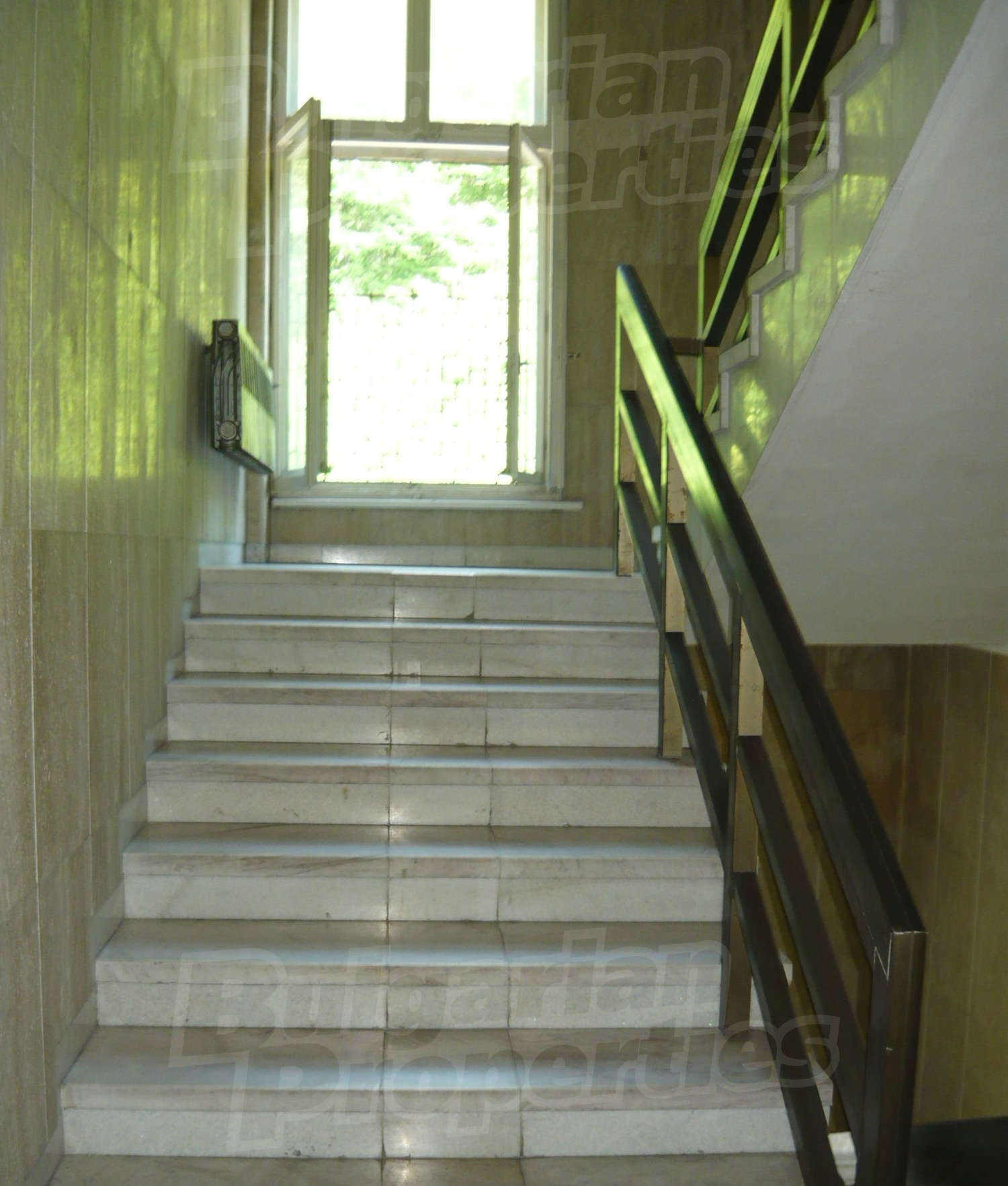 Gallery Picture 27
