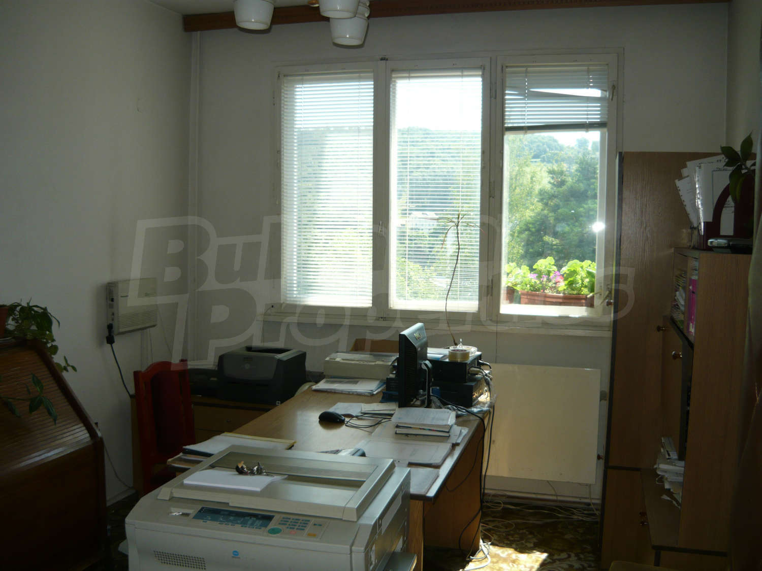 Gallery Picture 30