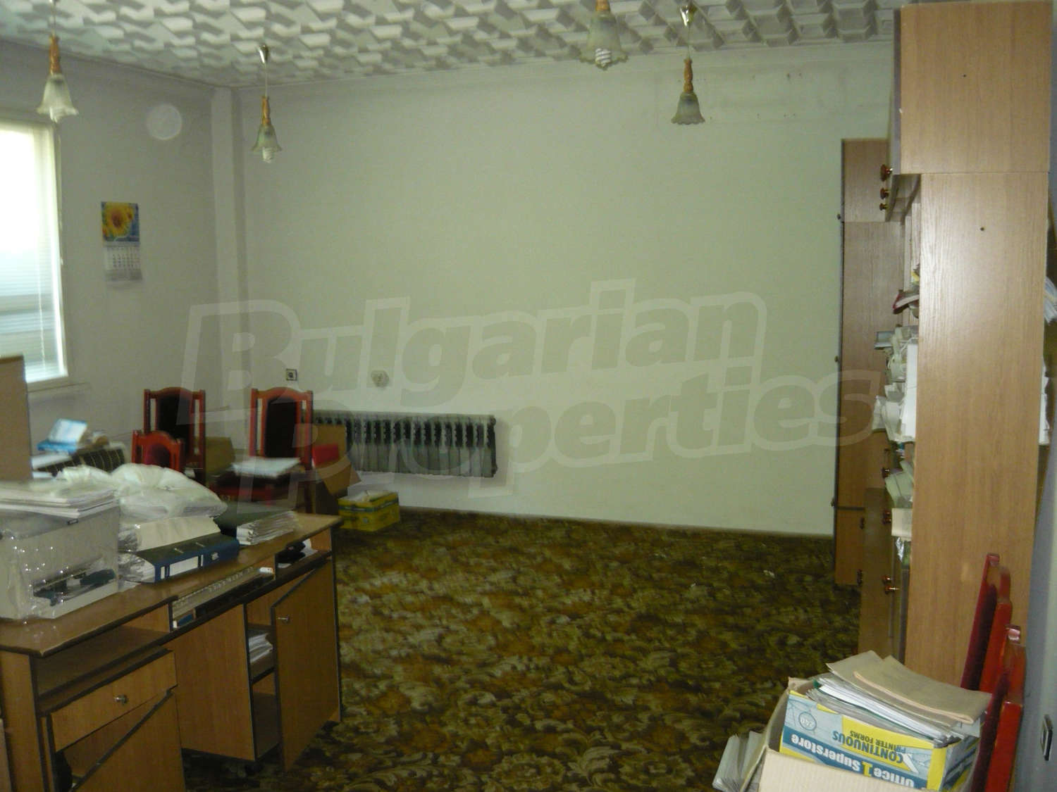 Gallery Picture 31
