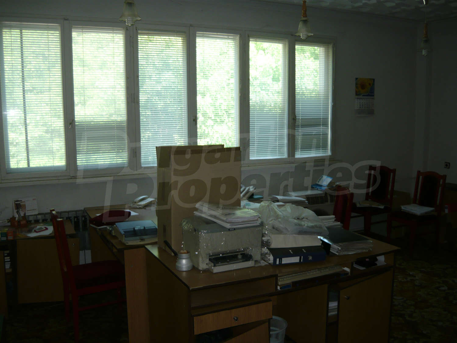 Gallery Picture 32
