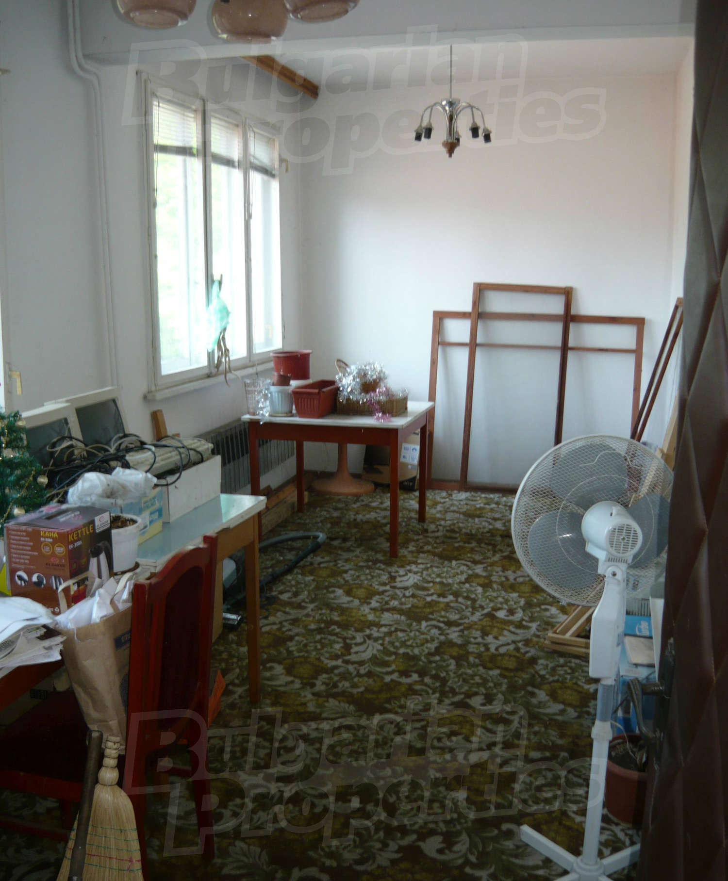 Gallery Picture 34