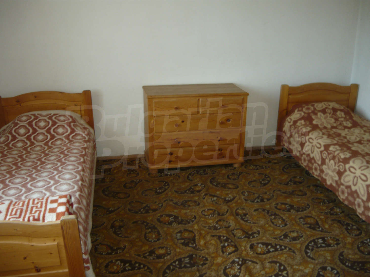 Gallery Picture 43