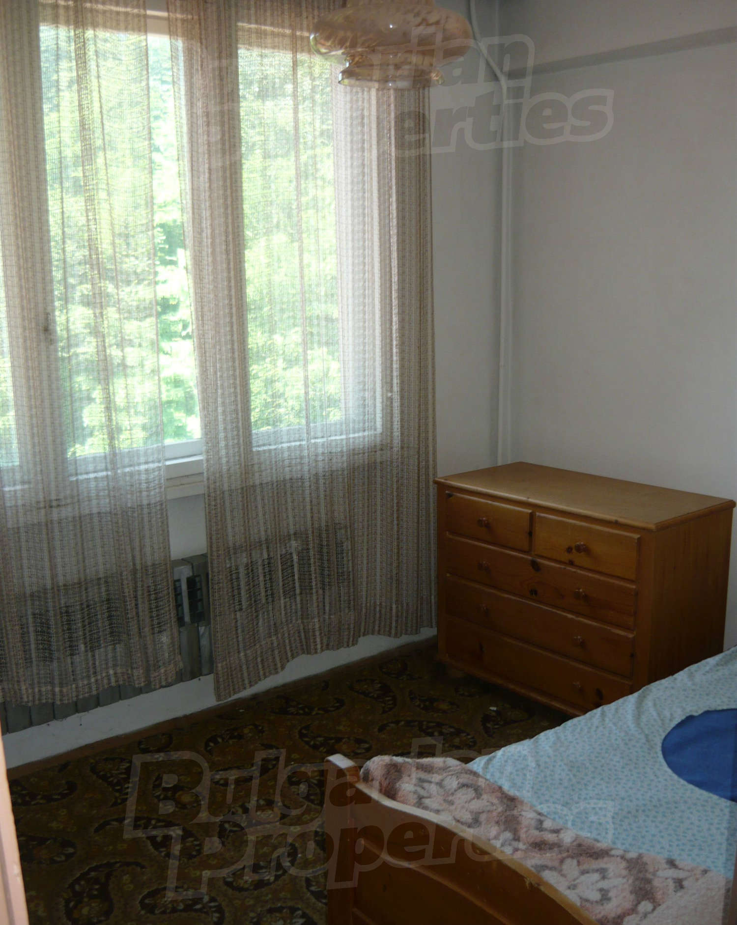 Gallery Picture 46