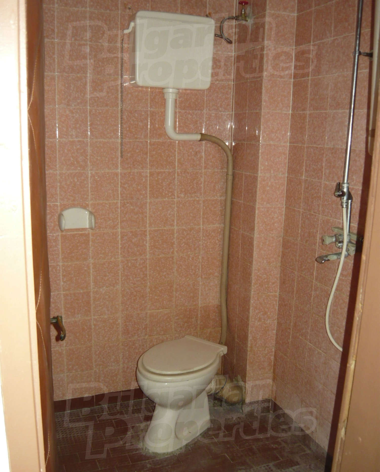 Gallery Picture 48