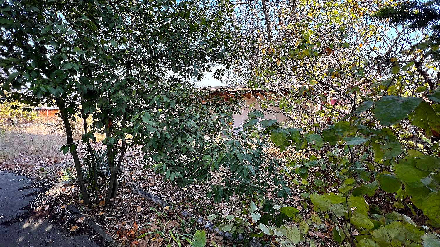 Gallery Picture 37