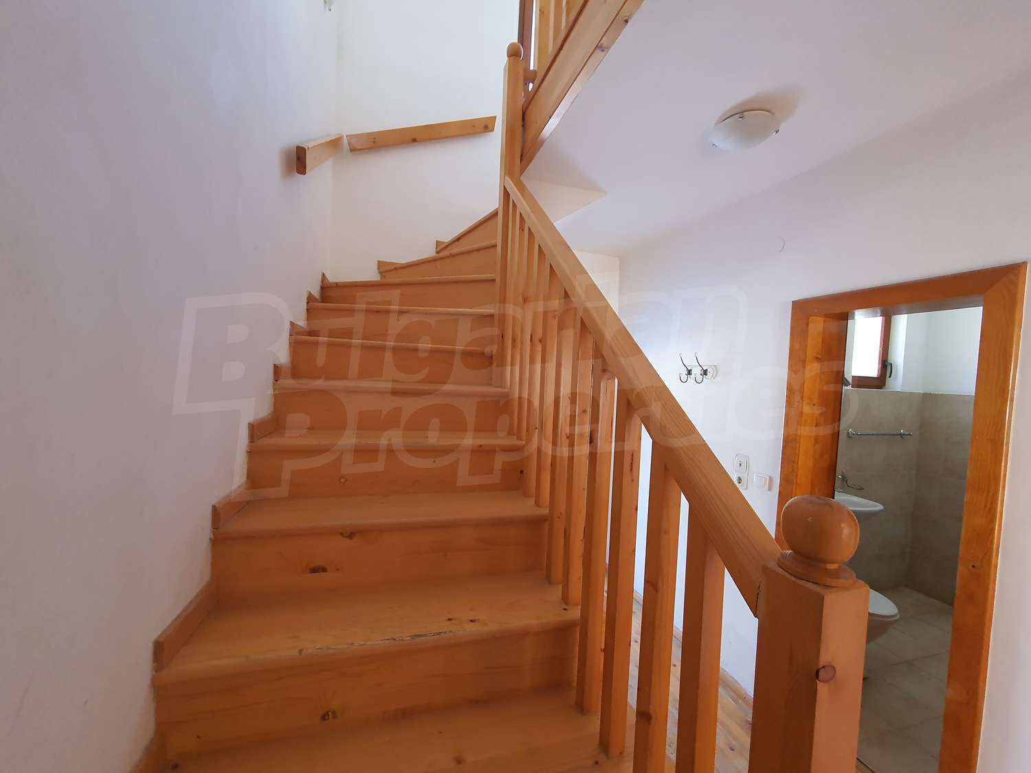 Gallery Picture 19