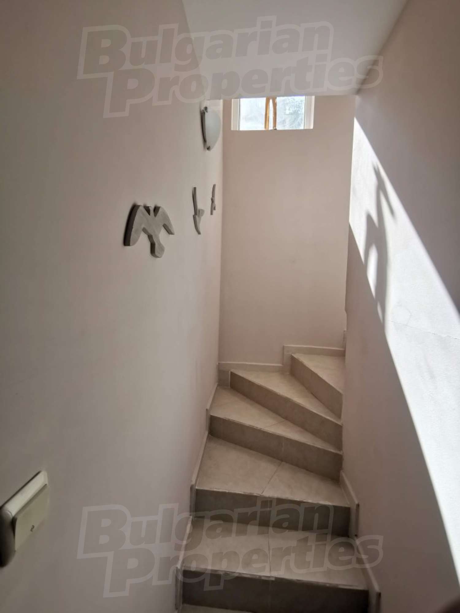 Gallery Picture 12