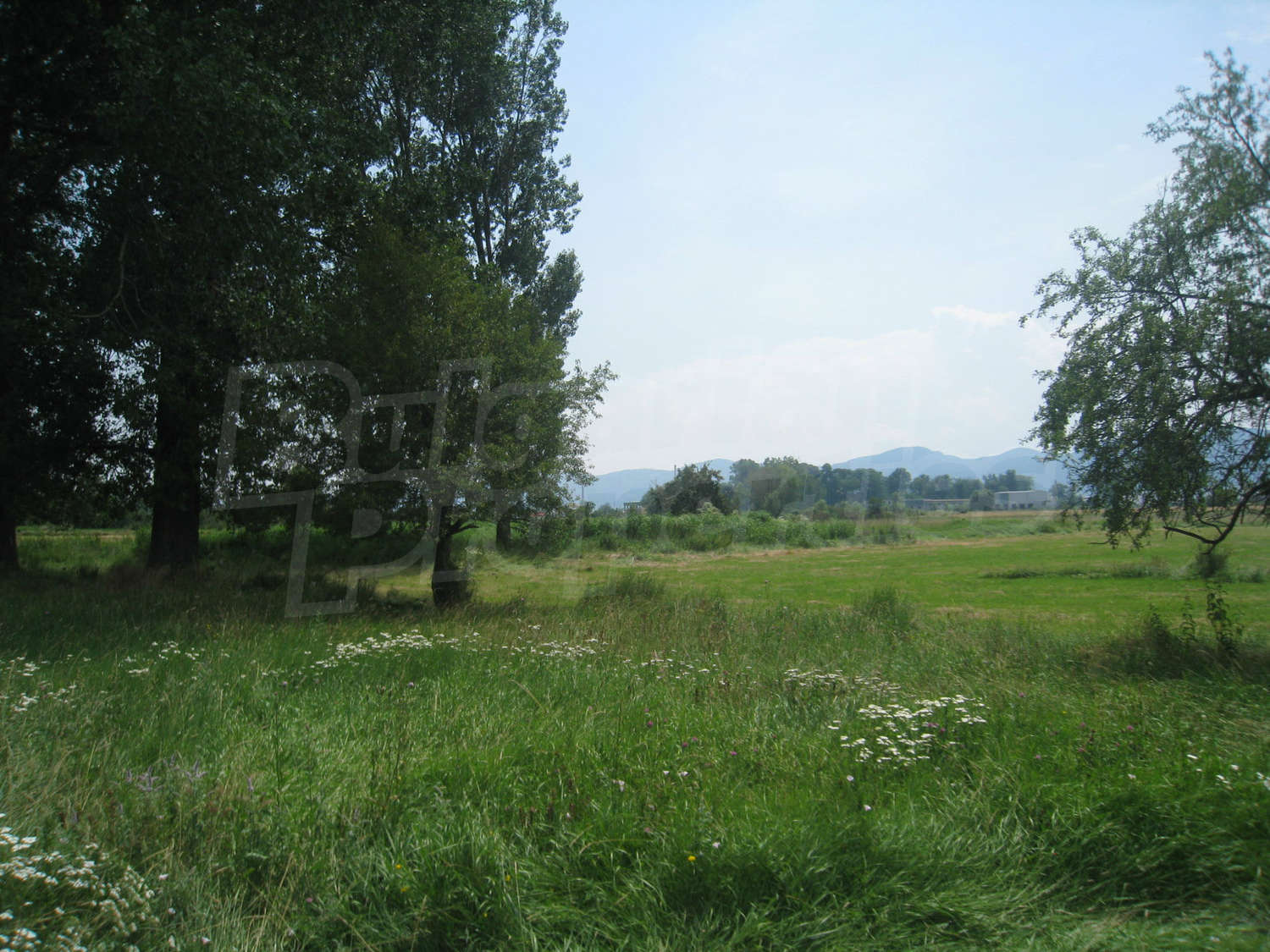 Gallery Picture 11