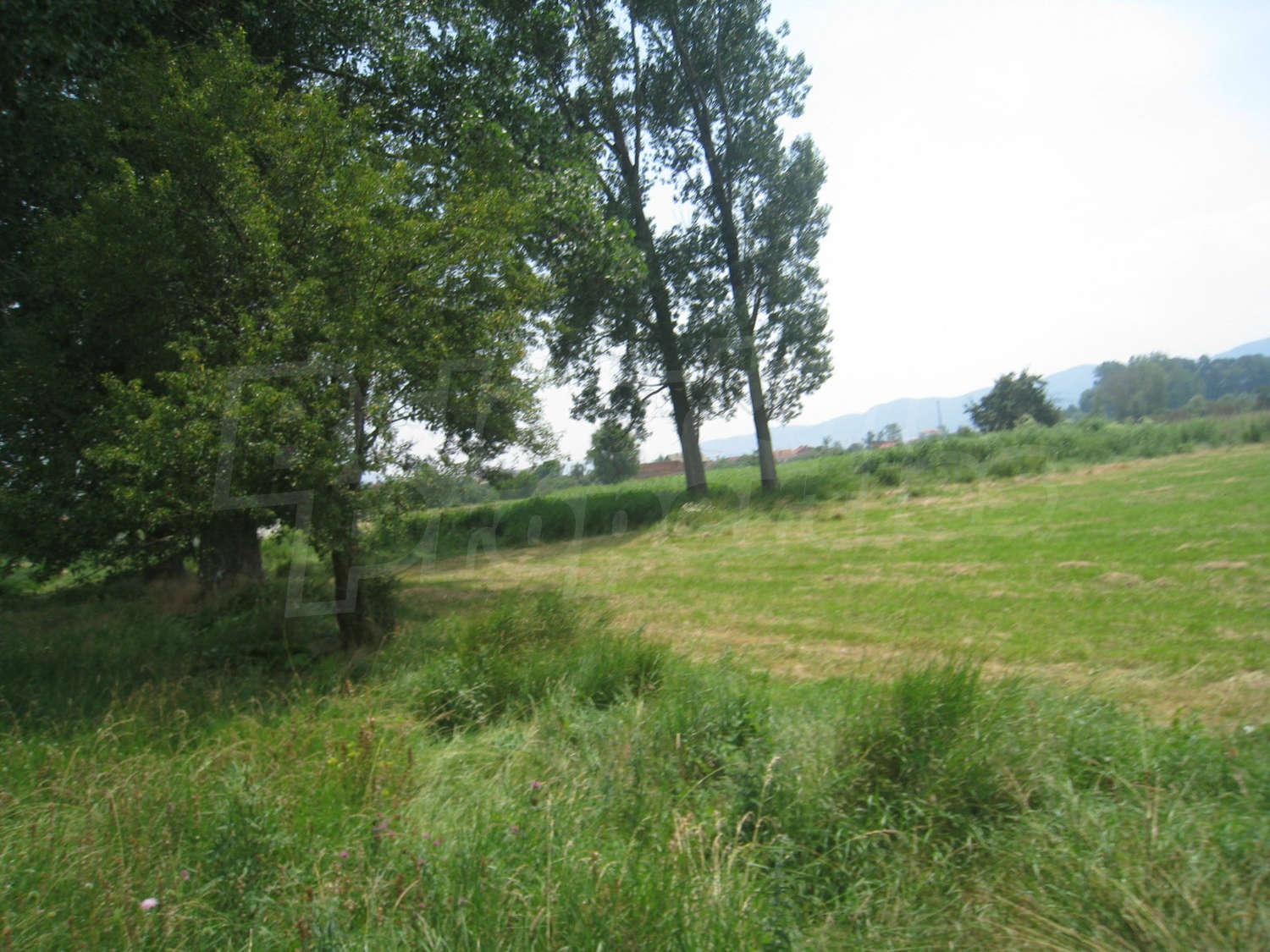 Gallery Picture 12