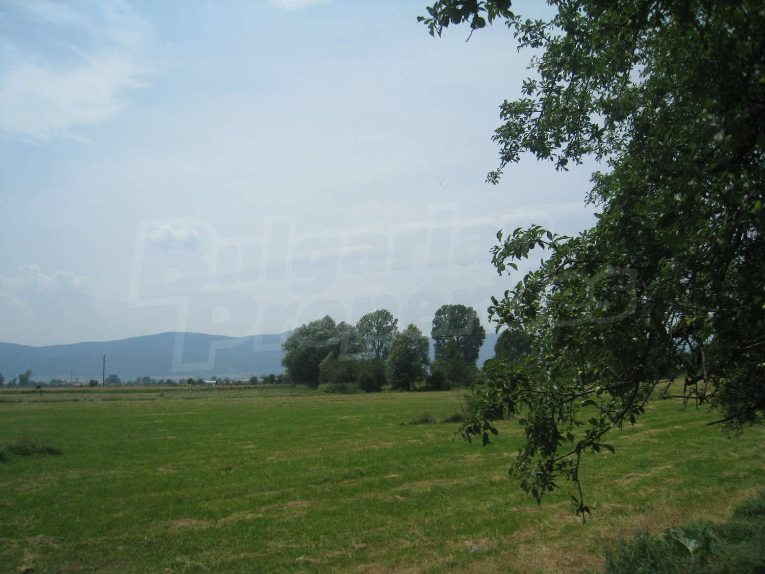 Gallery Picture 13