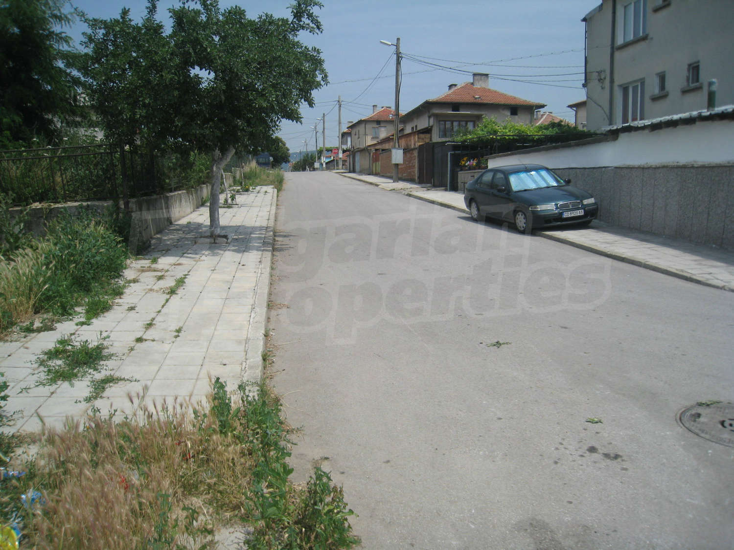 Gallery Picture 19