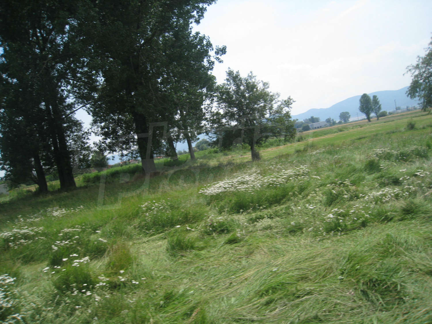 Gallery Picture 6
